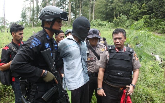 Ini Kronologi Penemuan Ladang Ganja 54 Hektare di Aceh