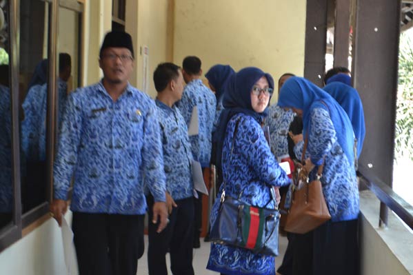 PNS