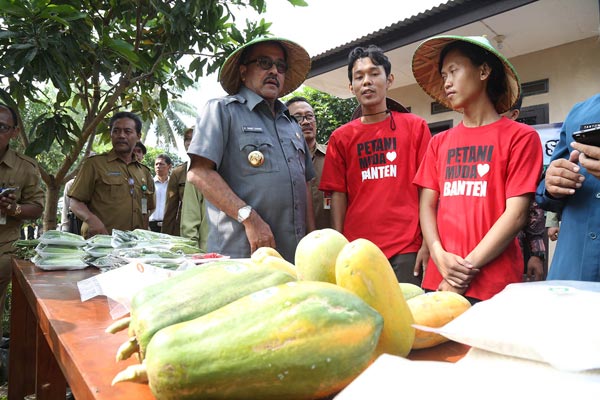 Profesi Petani Kurang Diminati Pemuda