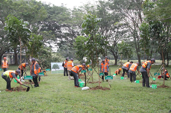 Selama Enam Tahun, PT MMS Tanam 77.269 Pohon