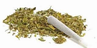 Puluhan Bocah Ditemukan Hisap Ganja