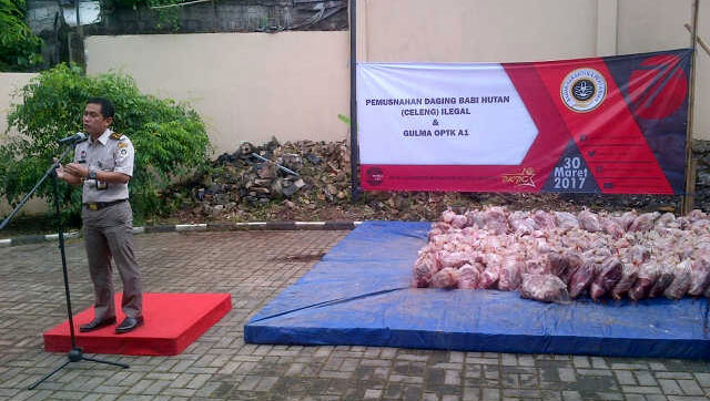 BKP Kelas II Cilegon Musnahkan 2.806,3 Kg Daging Celeng Ilegal