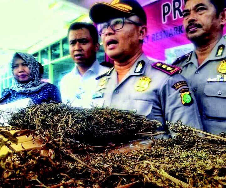 Polres Tangsel Amankan 47 Kg Ganja asal Aceh