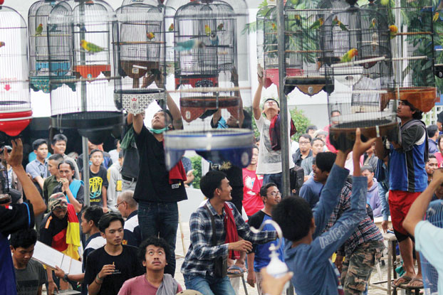 Ratusan Kicau Mania Unjuk Gigi