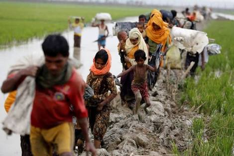 Donasi Untuk Muslim Rohingya Terkumpul Rp 30 Juta