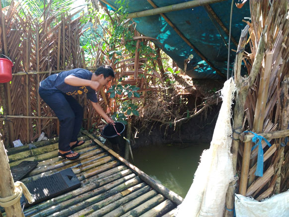 Bencana Kekeringan di Pandeglang Meluas