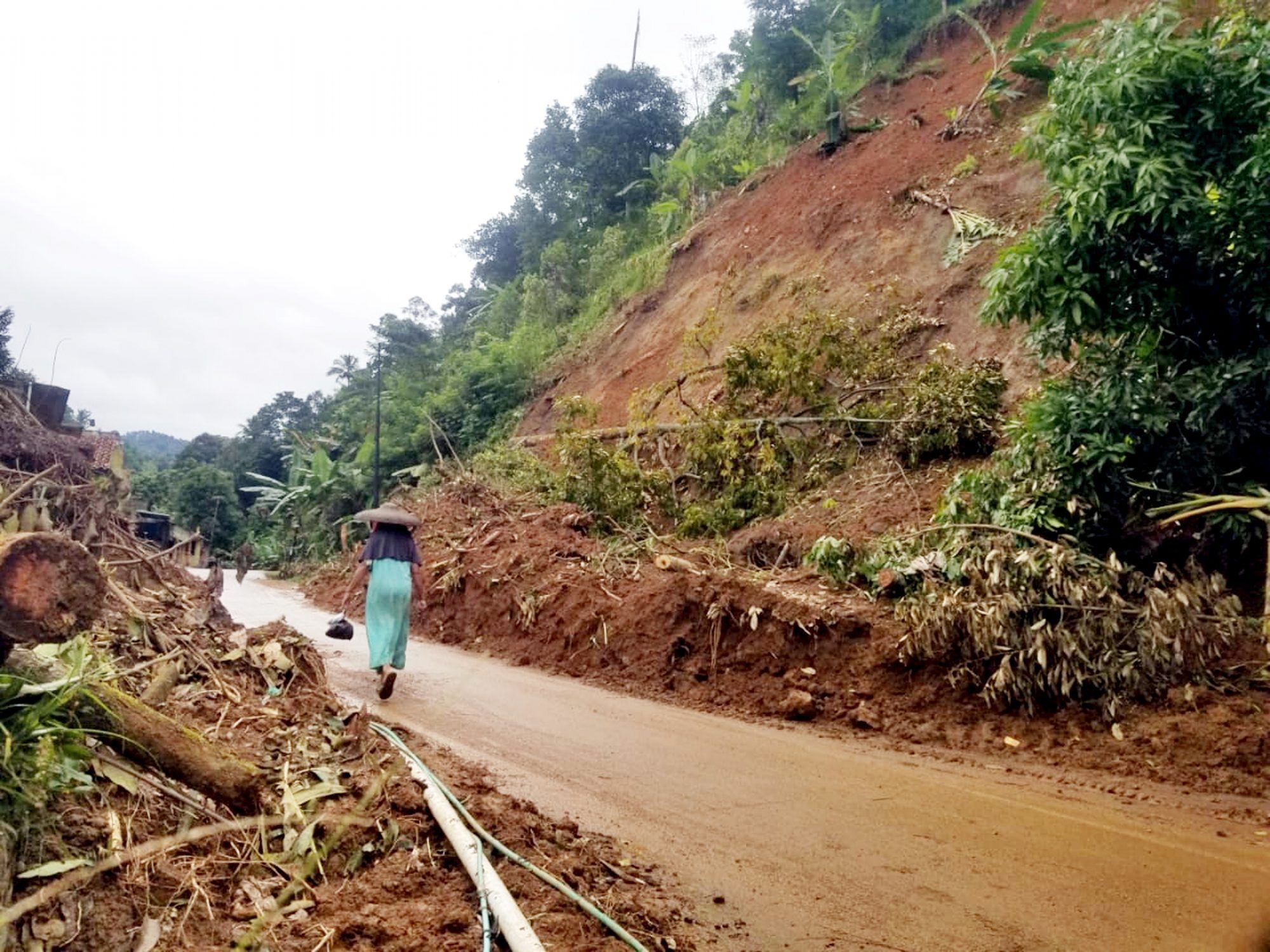 Gunung Halimun Salak Rusak Diduga Penyebab Banjir Bandang di Lebak