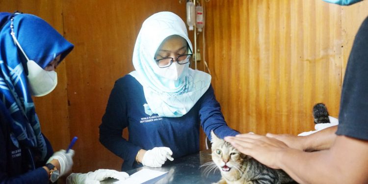 Ratusan Hewan Divaksin Rabies