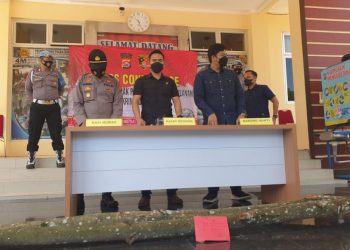 Curi Kayu di Lahan Perhutani, Anggota BPD Mekarwangi Ditangkap