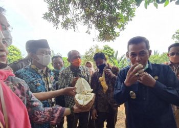Makan Duren Hasil Panen Rintisan Kampung Wisata Lima Umah, Syafrudin: Mantap 