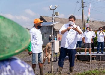 Dukung Millenial Smartfarming, Menko Airlangga: Meningkatkan Ketahanan Pangan dan Pemulihan Ekonomi Nasional