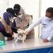 Hari Rabies Sedunia, Pemkot Serang Berikan Vaksinasi Rabies Gratis untuk 100 Kucing Peliharaan