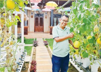 Anis Fuad Salam, Pensiunan Perbankan Jualan Sayur Hidroponik