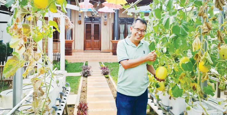 Anis Fuad Salam, Pensiunan Perbankan Jualan Sayur Hidroponik