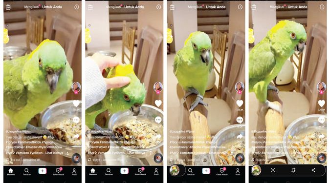 Burung Beo Nangis, Bikin Serem Netizen