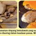 Lakukan Ini Untuk Meningkatkan Nafsu Makan