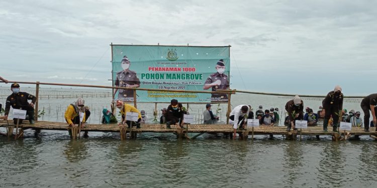 Hari Pahlawan, Kejati Banten Tanam Ribuan Mangrove