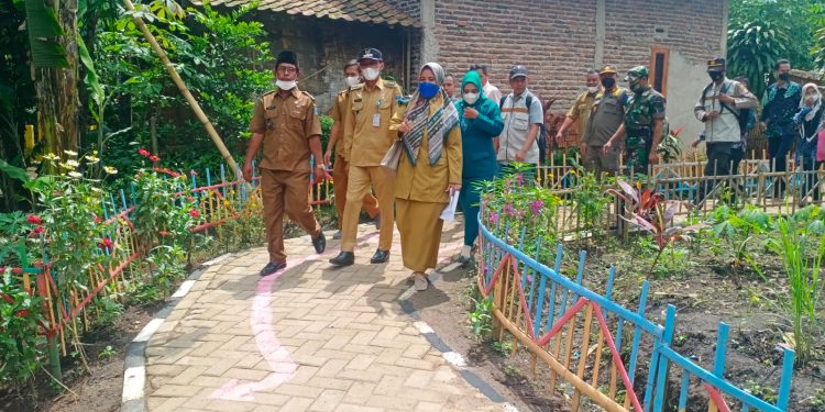 Tambiluk Berpotensi Jadi Kampung Berbunga