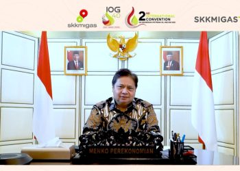 Indonesia Dukung Penerapan Energi Ramah Lingkungan, Menko Airlangga: Salah Satu Proyek Strategis Nasional