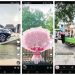 Video Seserahan Rombongan Pengantin Pria Bikin Melongo Banyak Netizen