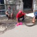 Damkar Lebak Tangkap Ular Sanca Tiga Meter di Rumah Kosong