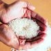 Zakat Fitrah Penyempurna Puasa