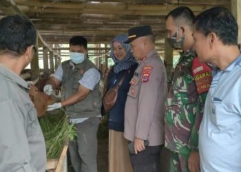 Antisipasi Penyebaran PMK, Pemkab Pandeglang Awasi Sentra Peternakan