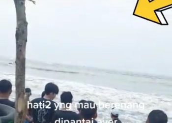 Geger, 2 Buaya Muncul di Pantai Cinangka Serang