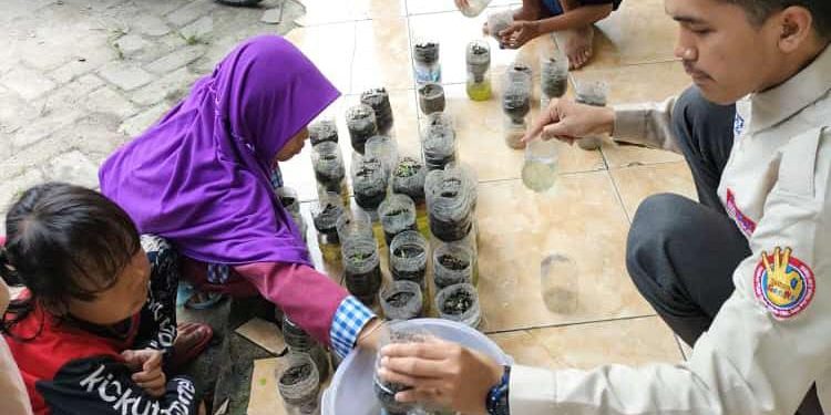 Praktik Hasil Membaca Buku di Perpusdes Majasari: Anak-anak Membuat Hidroponik