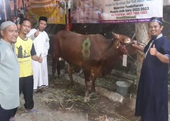 Masjid Nurul Musthofa-Sepang Potong 5 Sapi dan 48 Ekor Kambing