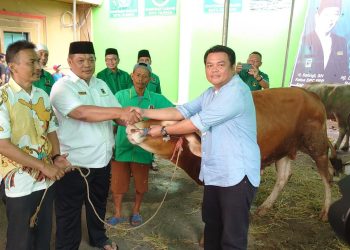 PPP Cilegon Sebar Ratusan Hewan Kurban