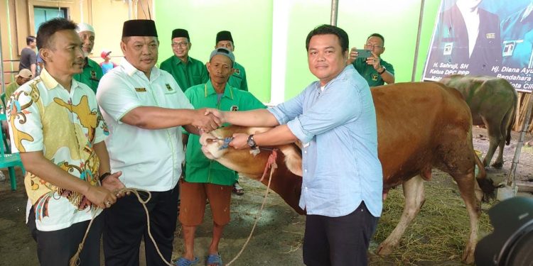 PPP Cilegon Sebar Ratusan Hewan Kurban
