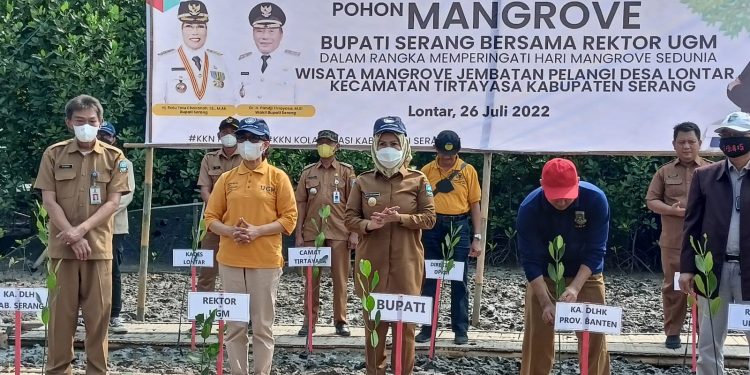 8.000 Mangrove Ditanam di Pesisir Lontar Kabupaten Serang