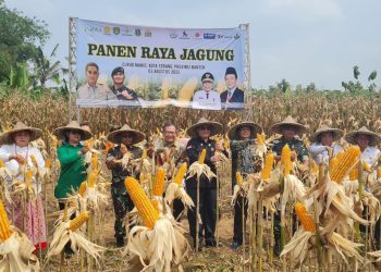 Wamentan Gelar Panen Raya Jagung di Curug Manis,  Kota Serang