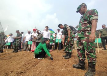 Jaga Ketahanan Pangan Nasional, Pangdam III Siliwangi Tanam Jagung 100 Hektare