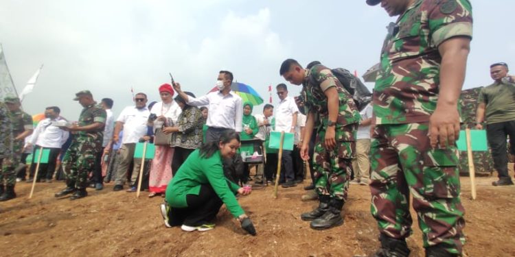 Jaga Ketahanan Pangan Nasional, Pangdam III Siliwangi Tanam Jagung 100 Hektare
