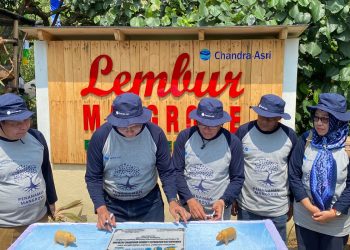 Kawasan Mangrove Patikang Lestari Didorong Jadi Industri Wisata