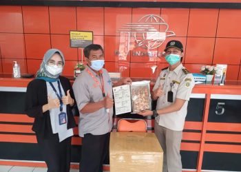 Tongkat Ali Dari Cilegon Diekspor ke Cina