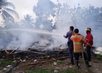 Kandang Ayam di Gunungsari Terbakar, Pemilik Rugi Rp300 Juta