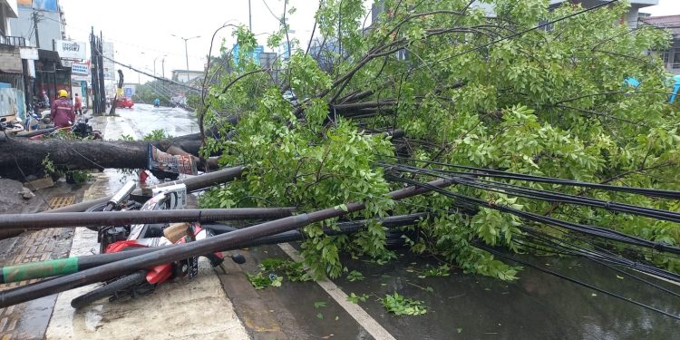 Pohon Tumbang Tutup Jalan Ahmad Yani Cilegon