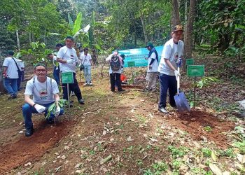 Hari Menanam Pohon Nasional, 100 Karyawan Chandra Asri Tanam Pohon di Padarincang
