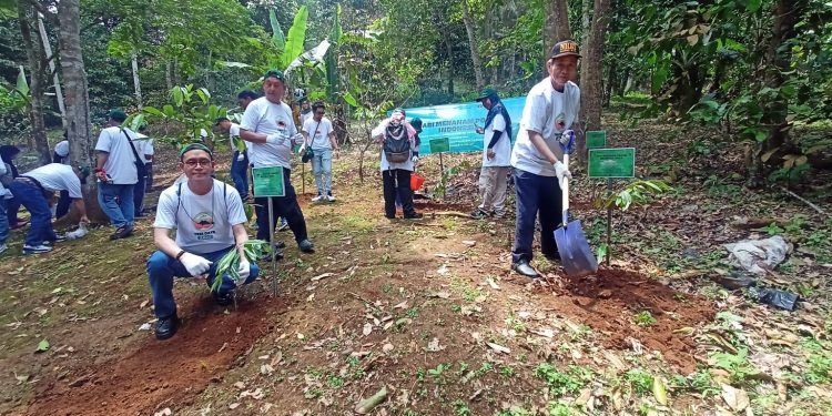 Hari Menanam Pohon Nasional, 100 Karyawan Chandra Asri Tanam Pohon di Padarincang