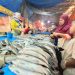 Harga Ikan dan Udang Diprediksi Naik Hingga 45 Persen per Kilogram