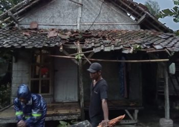 12 Kecamatan di Lebak Rawan Puting Beliung, BPBD Minta Warga Mewaspadai Ancaman Pohon Tumbang