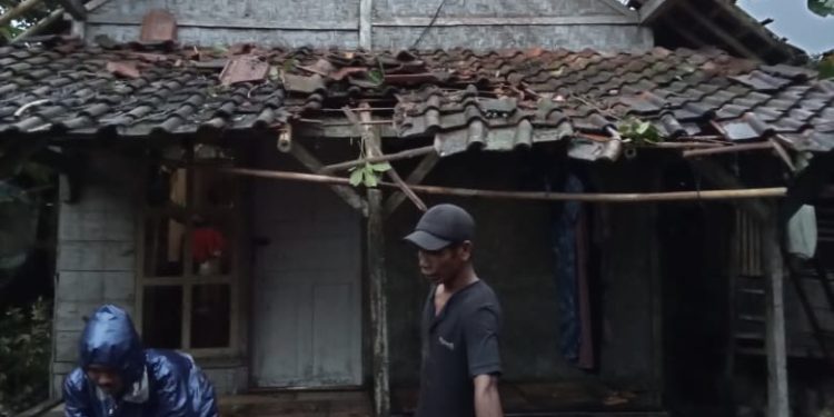 12 Kecamatan di Lebak Rawan Puting Beliung, BPBD Minta Warga Mewaspadai Ancaman Pohon Tumbang