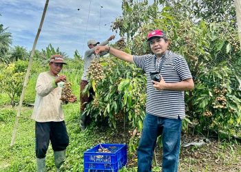 Agrowisata Petik Buah Tersedia di Pandeglang