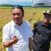 Panen Padi di Pandeglang, Pj Gubernur Banten Al Muktabar Suka Makan Keong Sawah