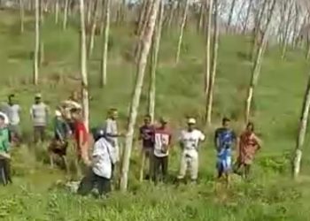 Tim Inafis Olah TKP Penemuan Mayat Dua Pemuda di Perkebunan Karet Cijaku
