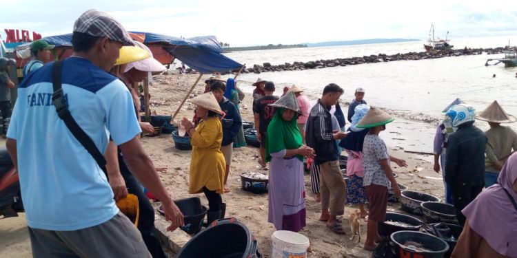 Tengkulak Ikan Ilegal Menjamur di Labuan, Target PAD Terancam Tak Tercapai