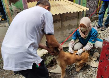 Puskeswan Kota Cilegon Galakkan Vaksinasi Rabies Gratis